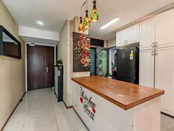 Blk 1 The Pinnacle@Duxton (Bukit Merah), HDB 4 Rooms #517247341